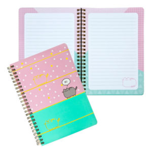 PS299-kot-pusheen-kolonotes-2