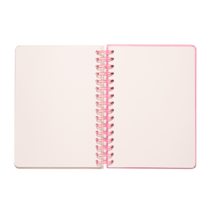 PS321-notes-spiralny-pusheen-3