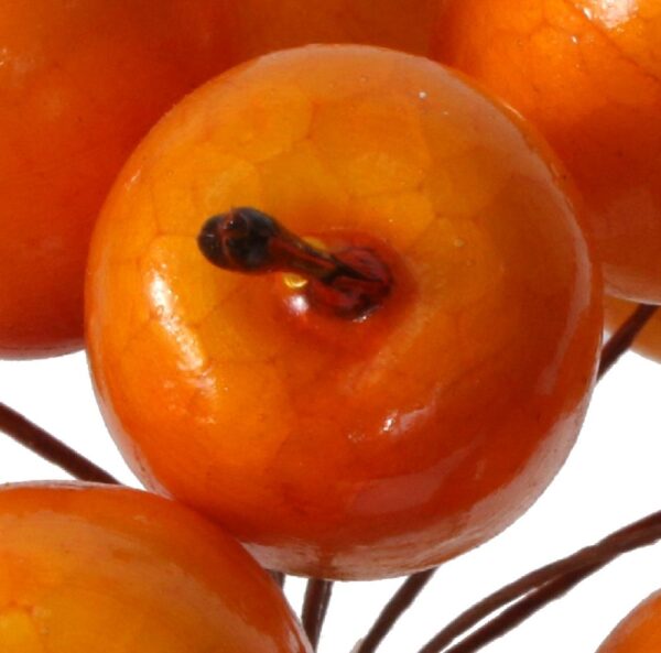 OZ34-jabłuszka-na-druciku-pomarańczowe-2