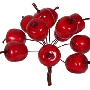 OZ36-jabłuszka-na-druciku-czerwone