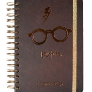 HP80-notes-harry-potter-1