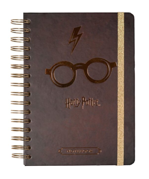 HP80-notes-harry-potter-1