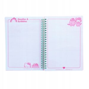 PS393-pusheen-kołonotes-hello-kitty-6