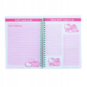 PS393-pusheen-kołonotes-hello-kitty-7