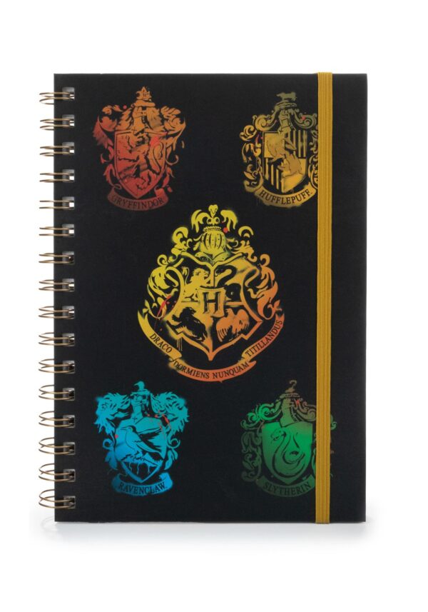 HP94_kołonotes_harry_potter_hedwiga (1)